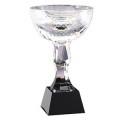 Cups - CRY127 - Optical Crystal with Ebony Crystal Beveled Base - 12.5”